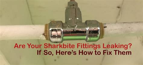 How to Fix a Leaking Sharkbite Fitting 